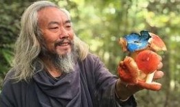 斗鸡 在线观看,在线观看，感受热血竞技的魅力