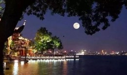 平湖秋月爆料最新消息视频,揭秘视频背后的惊人真相